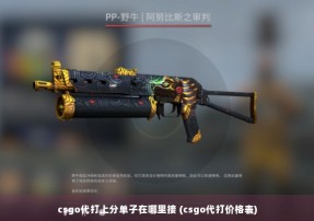 csgo代打上分单子在哪里接 (csgo代打价格表)