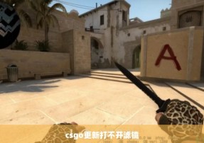 csgo更新打不开滤镜