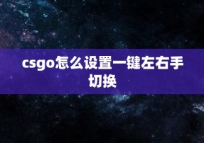 csgo怎么设置一键左右手切换