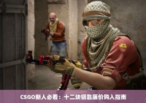 CSGO新人必看：十二块钥匙廉价购入指南