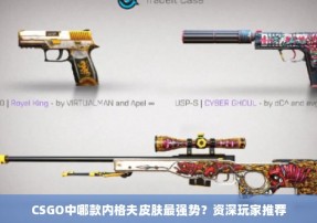 CSGO中哪款内格夫皮肤最强势？资深玩家推荐