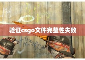 验证csgo文件完整性失败