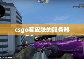 csgo看皮肤的服务器