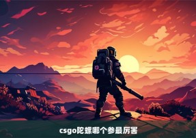 csgo陀螺哪个参最厉害