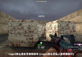 csgo2怎么改左手持枪指令 (csgo2怎么开私人房和朋友打)