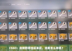 CSGO：自制野荷捡起来后，结果怎么样呢？