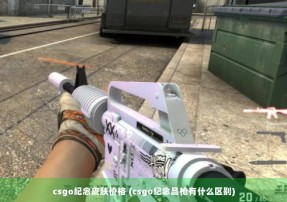 csgo纪念皮肤价格 (csgo纪念品枪有什么区别)