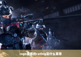 csgo里面的rating是什么意思