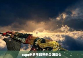 csgo走路手臂晃动关闭指令