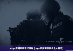 csgo迈阿密手套打游戏 (csgo迈阿密手套多少人民币)