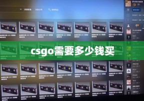 csgo需要多少钱买