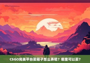 CSGO完美平台买箱子怎么弄呢？哪里可以买？