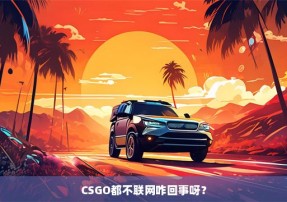 CSGO都不联网咋回事呀？