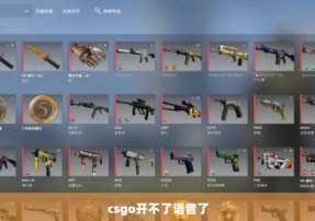 csgo开不了语音了