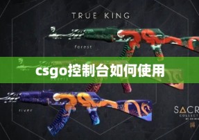 csgo控制台如何使用