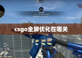 csgo全屏优化在哪关