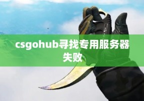 csgohub寻找专用服务器失败