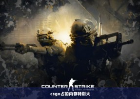 csgo占的内存特别大