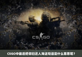 CSGO中最后把你归还人海这句话是什么意思呢？