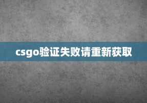 csgo验证失败请重新获取