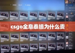 csgo全息泰坦为什么贵