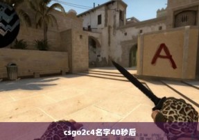 csgo2c4名字40秒后