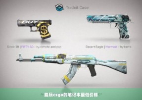 能玩csgo的笔记本最低价格