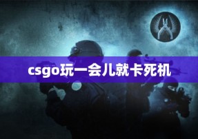 csgo玩一会儿就卡死机