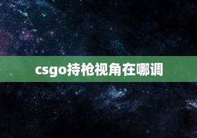 csgo持枪视角在哪调