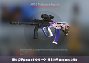 潘多拉手套csgo多少钱一个 (潘多拉手套csgo多少钱)