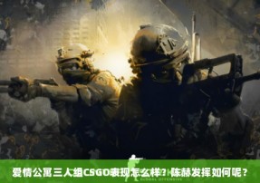 爱情公寓三人组CSGO表现怎么样？陈赫发挥如何呢？