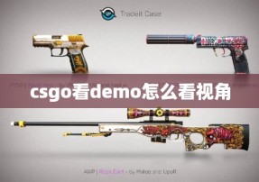 csgo看demo怎么看视角