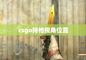 csgo持枪视角位置