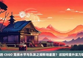 我的 CSGO 竞技水平与队友之间有啥差距？该如何提升实力呢？