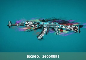 玩CSGO，2600够吗？