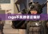 csgo不支持语言偏好