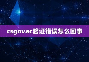 csgovac验证错误怎么回事