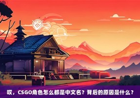 哎，CSGO角色怎么都是中文名？背后的原因是什么？