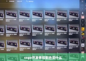 csgo开发者控制台是什么