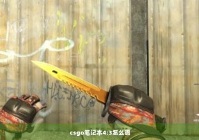 csgo笔记本4:3怎么调