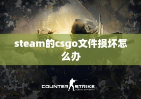 steam的csgo文件损坏怎么办