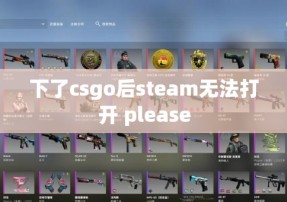 下了csgo后steam无法打开 please