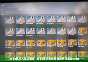 csgo耳机入耳式雷蛇 (csgo耳机麦克风有显示但是没声音)