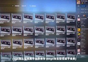 csgo怎么在完美平台改名字 (csgo怎么获得箱子免费)