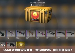 CSGO 收到指令没声音，怎么解决呢？如何排除故障？