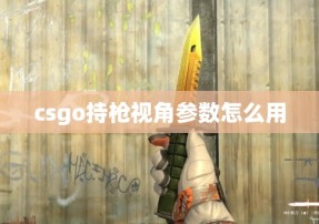 csgo持枪视角参数怎么用