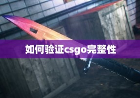 如何验证csgo完整性