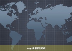 csgo是哪家公司的