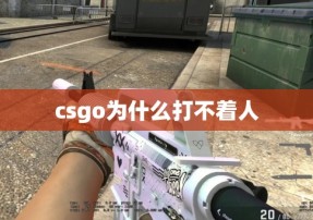 csgo为什么打不着人