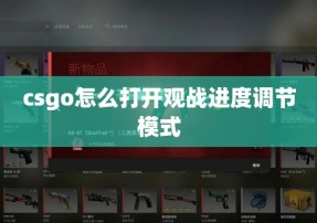 csgo怎么打开观战进度调节模式